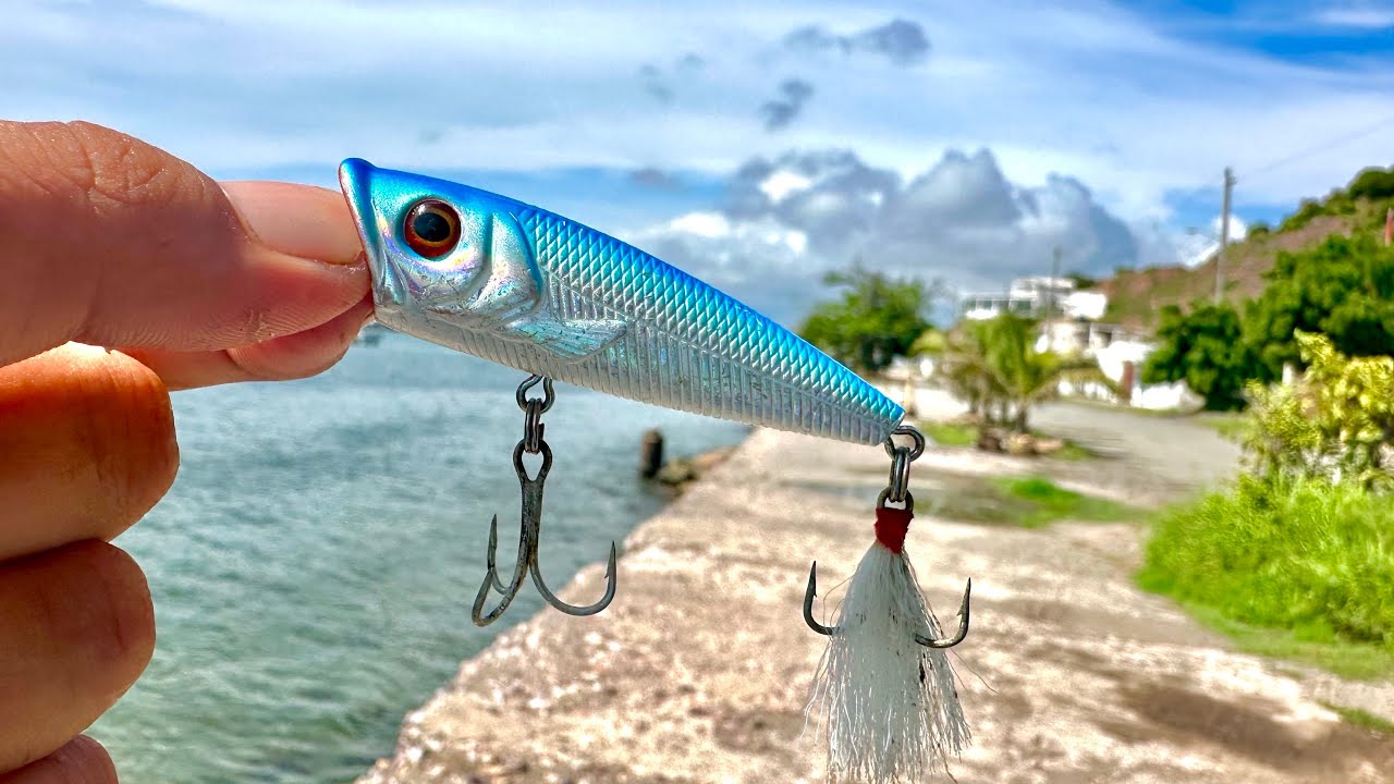 Pesca de ORILLA con MINI POPPERS || pescando PARGOS en los MANGLARES. 