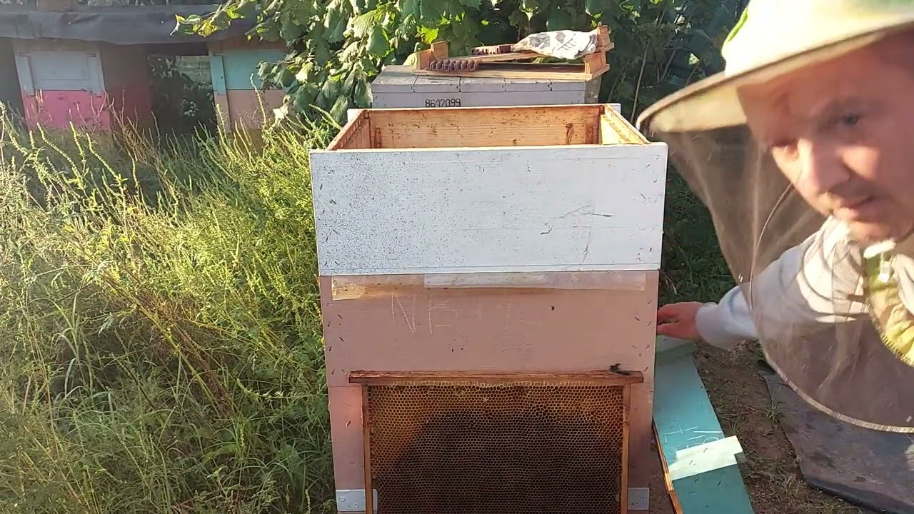 Vinkó Péter Hobbiméhészet: Kaptár és keret, hangyasavas kezelés.