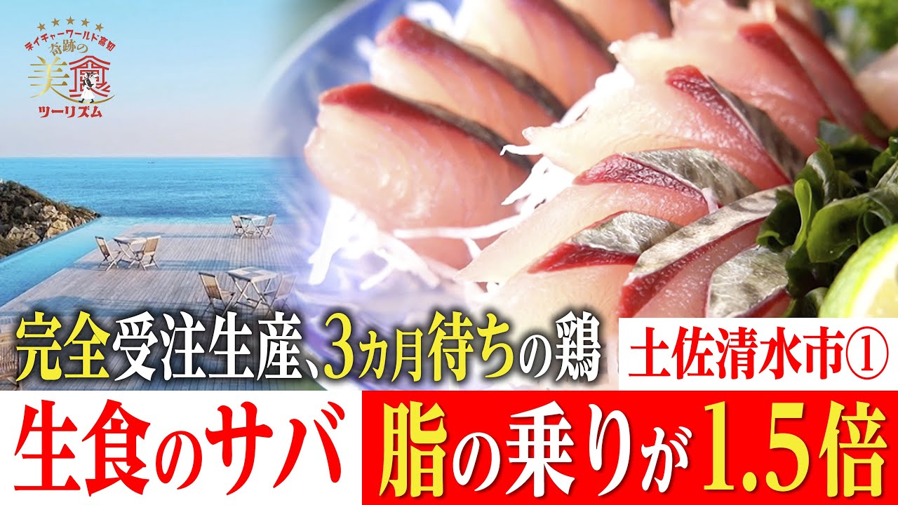 【絶品の刺身🐟】生食できる「清水さば」は脂乗りが1.5倍・土佐清水市①｜奇跡の美食ツーリズム #高知 #高知グルメ #高知旅行