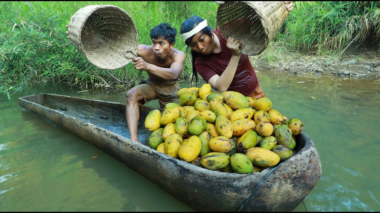 Life In Jungle - fish - turtle hunting - cooking Recipes Mango