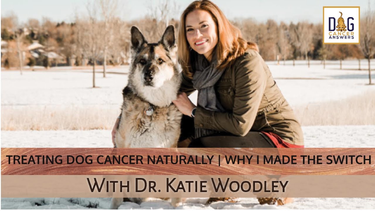 Treating Dog Cancer Naturally &ndash; Why I Made the Switch to Holistic | Dr. Katie Woodley Deep Dive