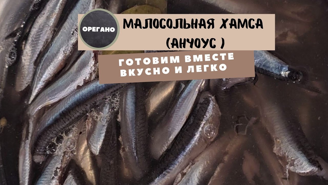 Маринованая хамса . простой и быстрый рецепт .