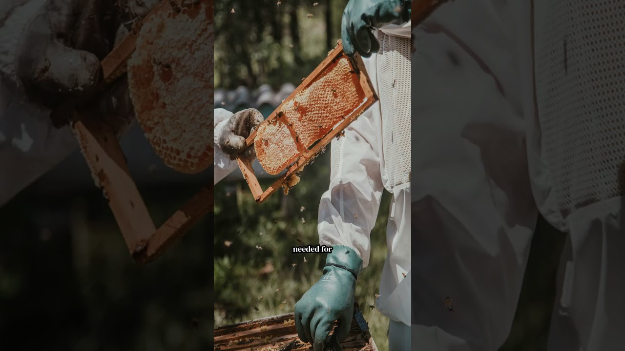 Apiculture best practices