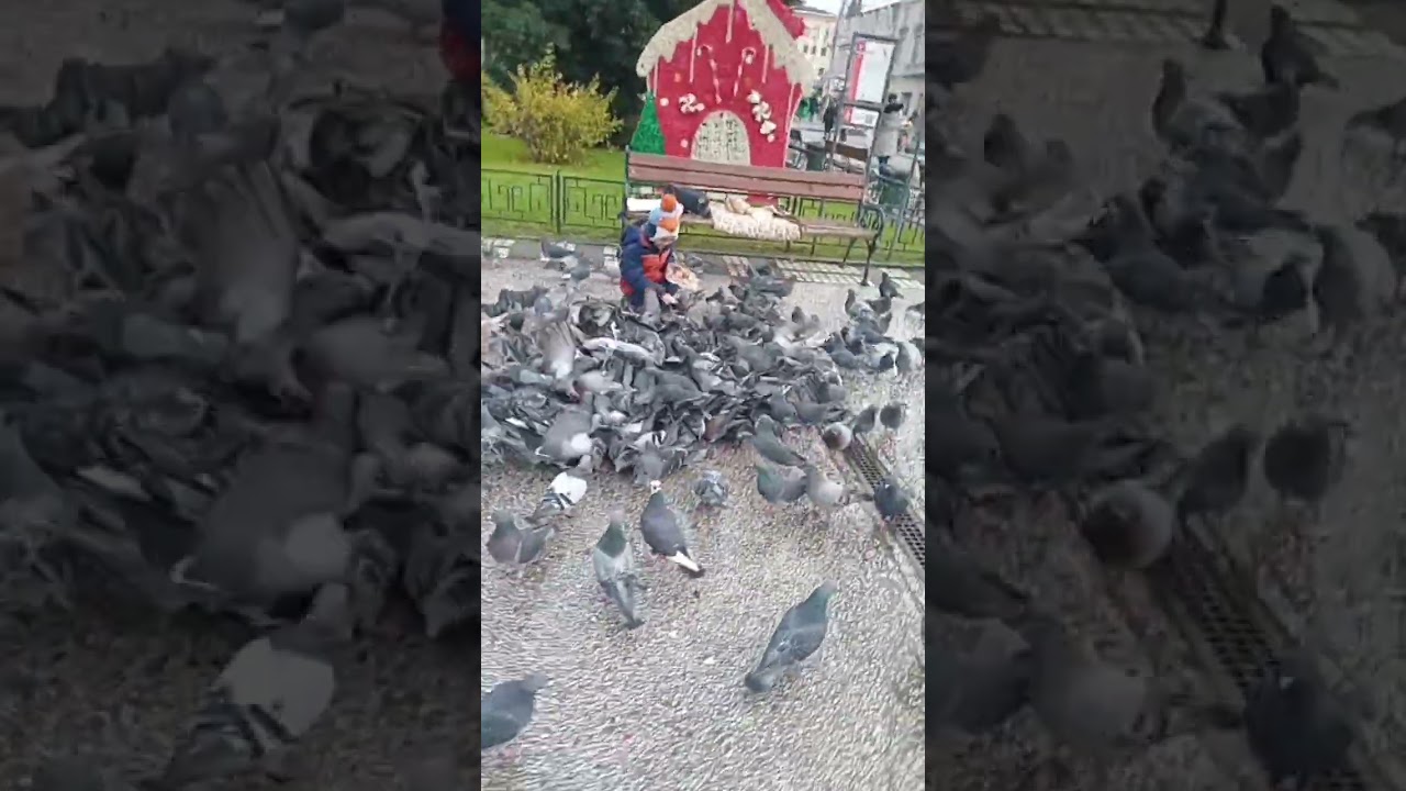 Iașul orașul tau.. 