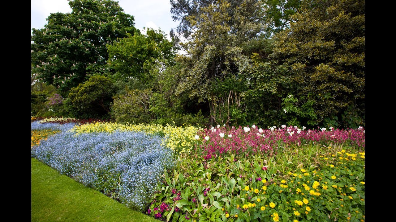 Parterre de plantas vivaces y anuales - Decogarden - Jardinatis