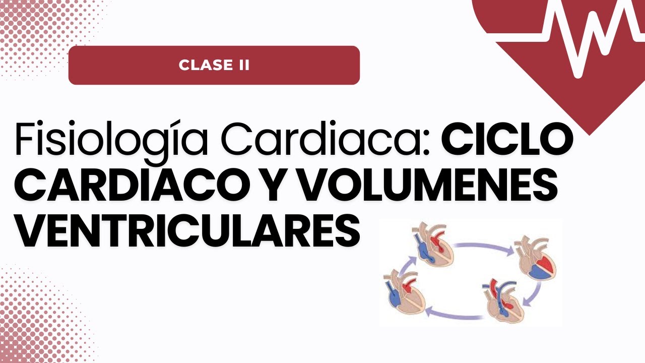Fisiología Cardiaca: CICLO CARDIACO y VOLUMENES VENTRICULARES