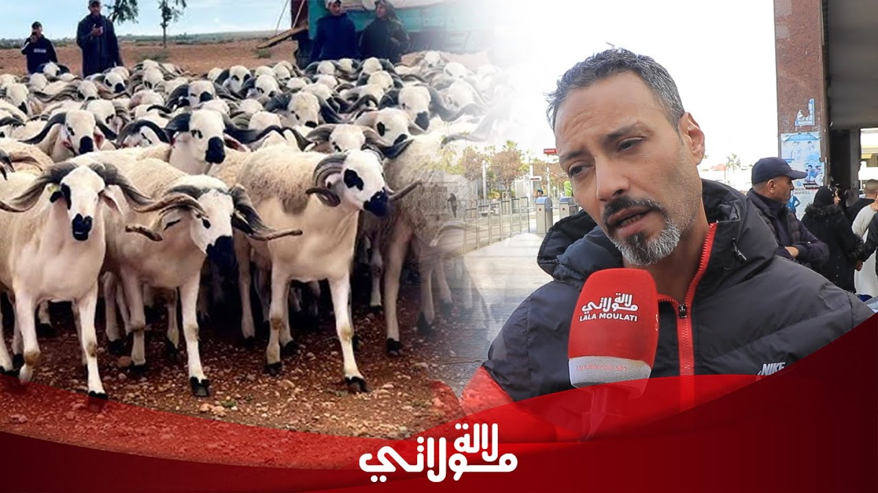 من قلب الشوارع المغربية.. مواطنون