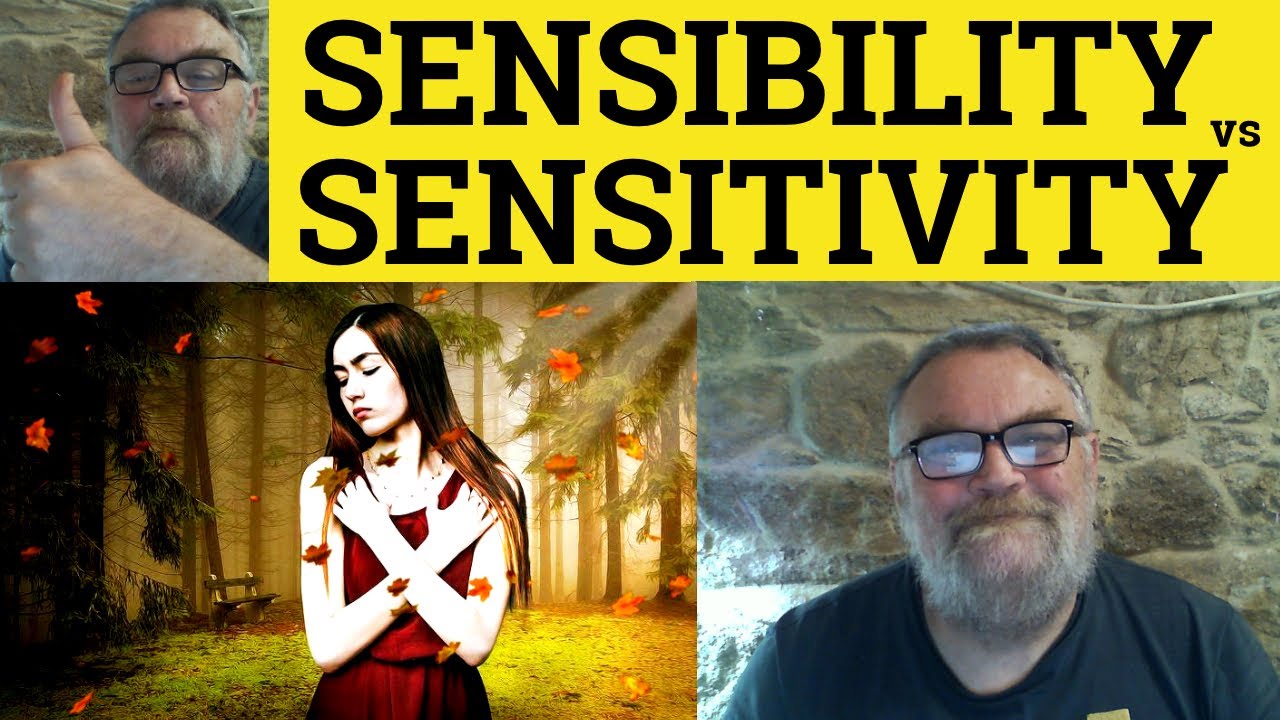 🔵 Sensibility Vs Sensitivity Meaning - Sensibility Examples - Sensitive Defined- Sensible Definition