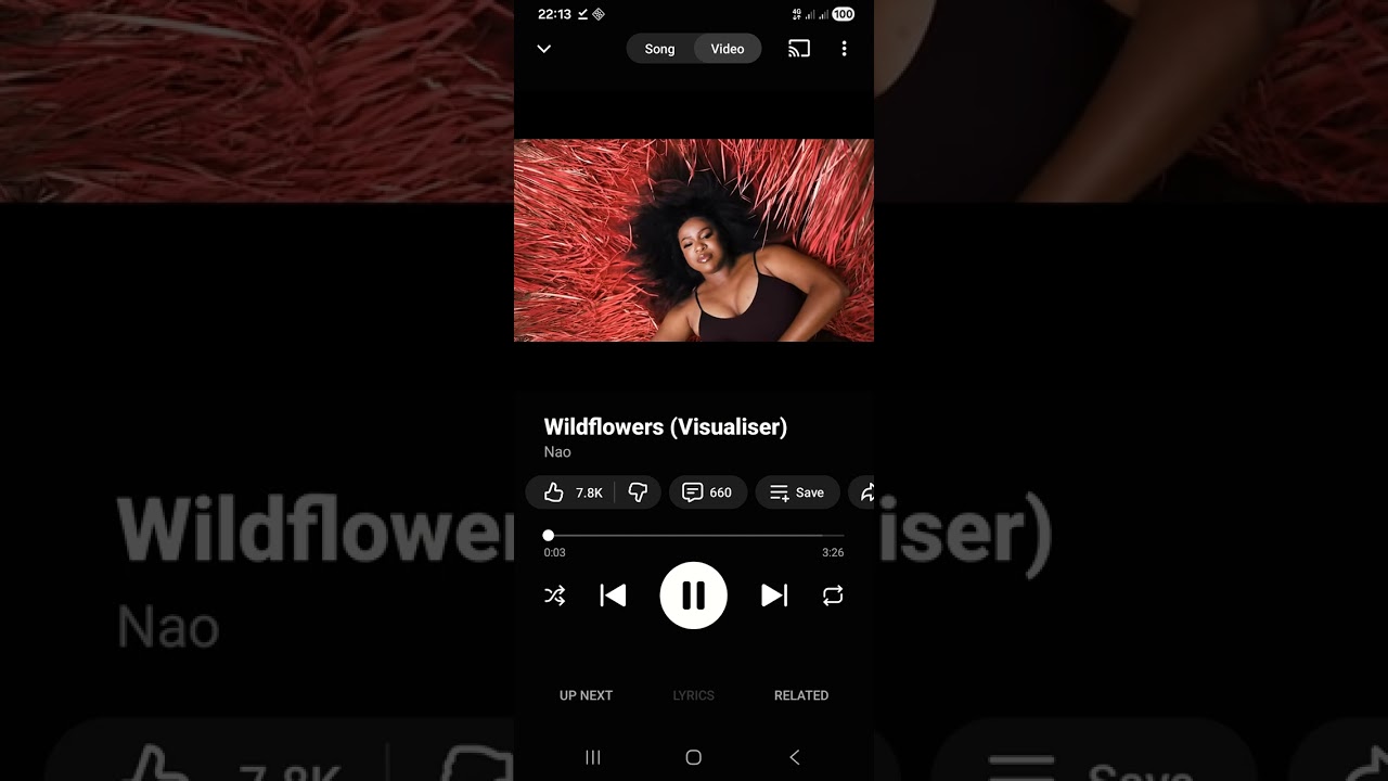 Nao - Wildflowers (BTFV AMAPIANO REMIX)