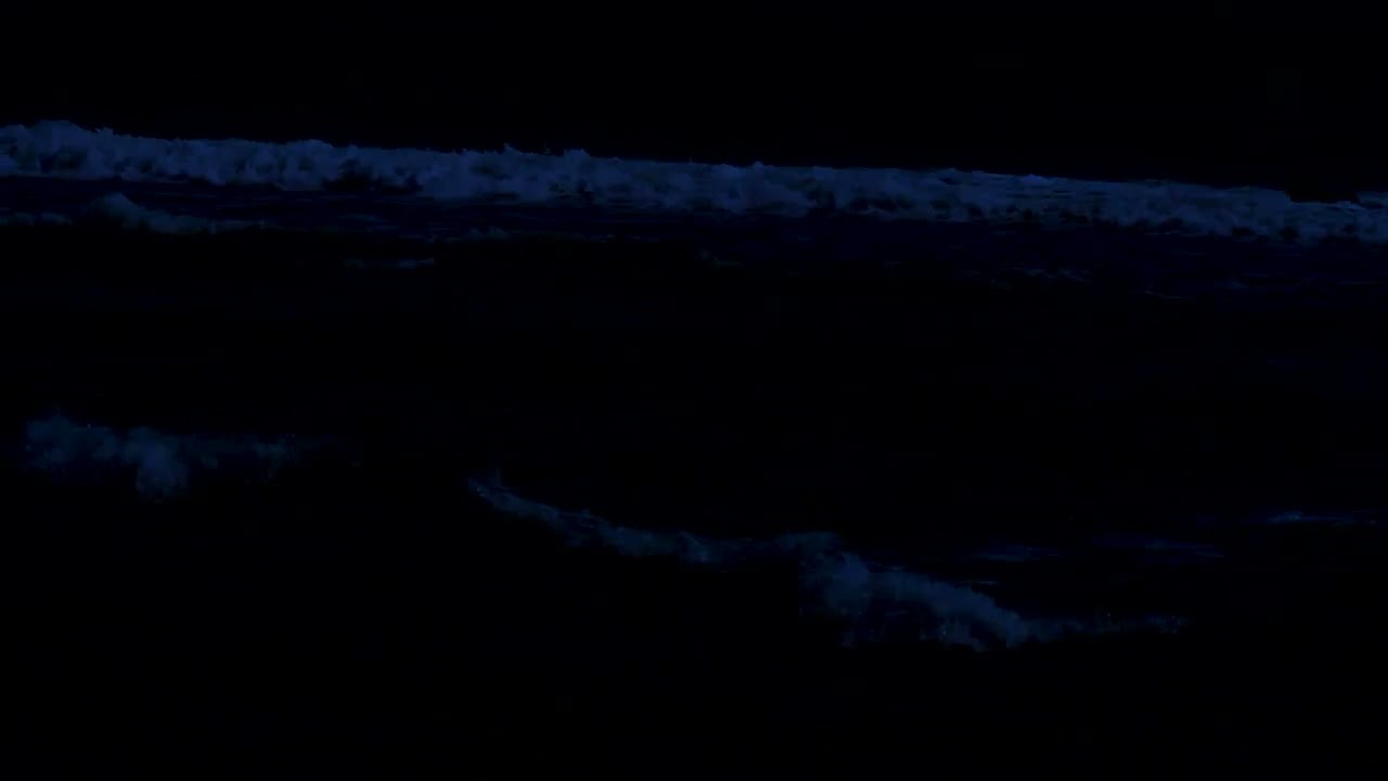 Deep Sleep by the Ocean 🌊 Rolling Wave Sounds to Quiet the Mind, Reduce Stress and Relieve Insomnia