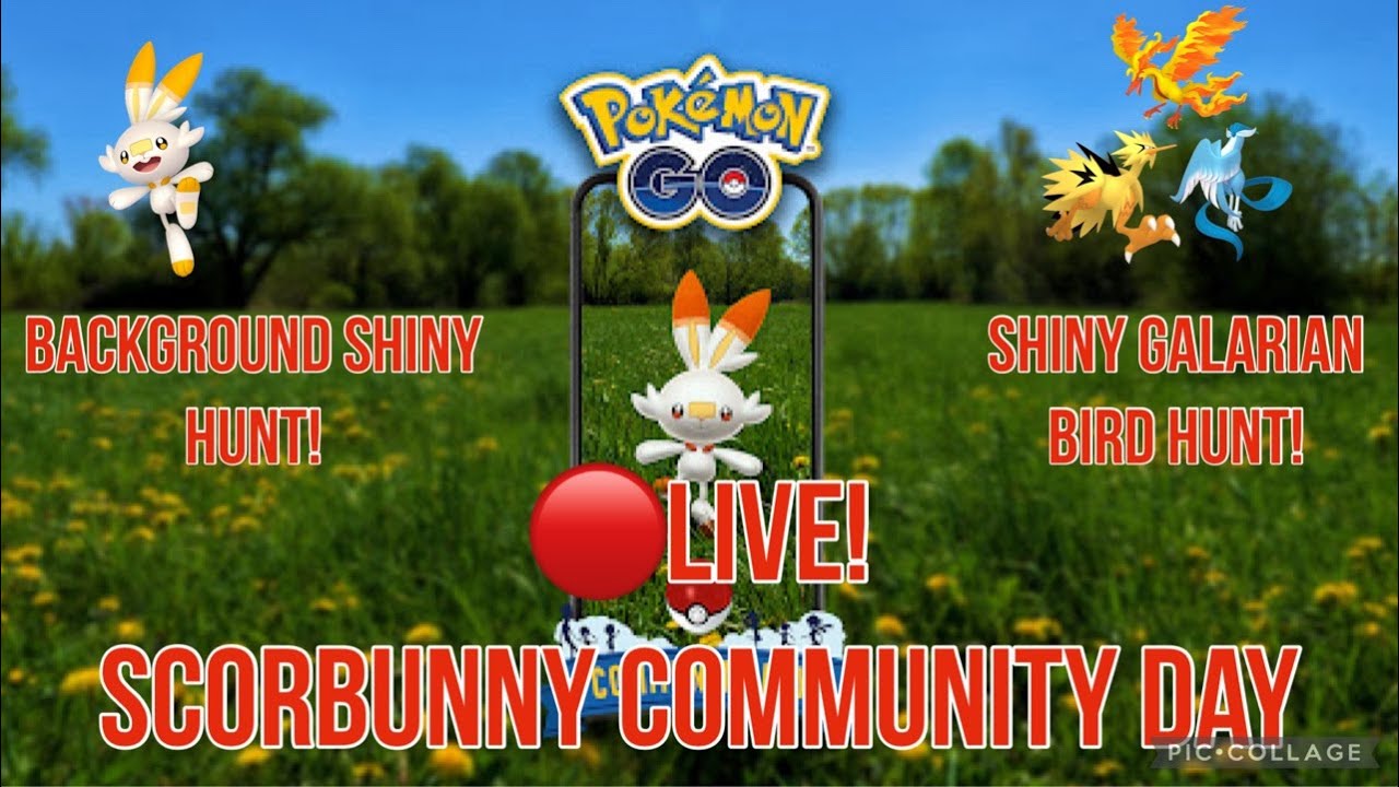 Scorbunny Community Day and Shiny Galarian Bird Hunt LIVE!