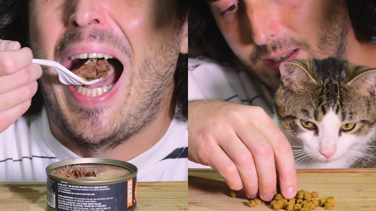 ASMR Man Trying CAT FOOD * Wet and Dry CRUNCHY * 고양이 + 먹방