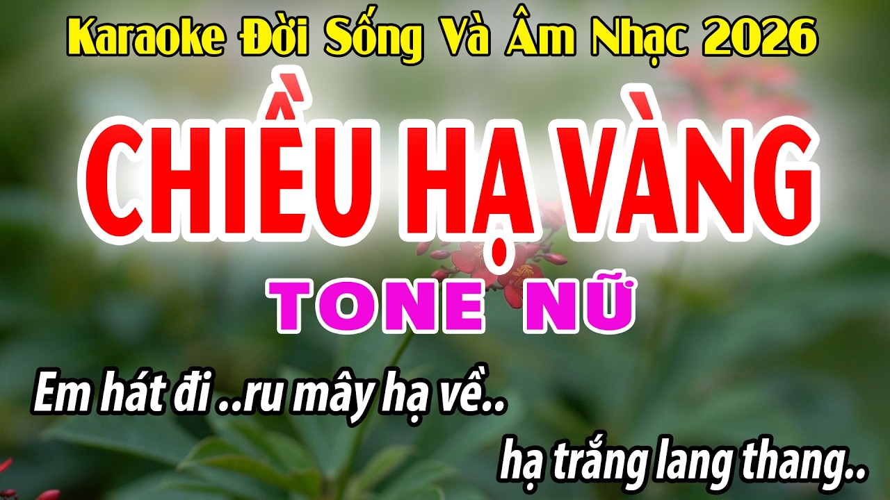Chiều Hạ vàng Tone Nữ | Gm | Karaoke Đời Sống Và Âm Nhạc | Beat Mới 2026