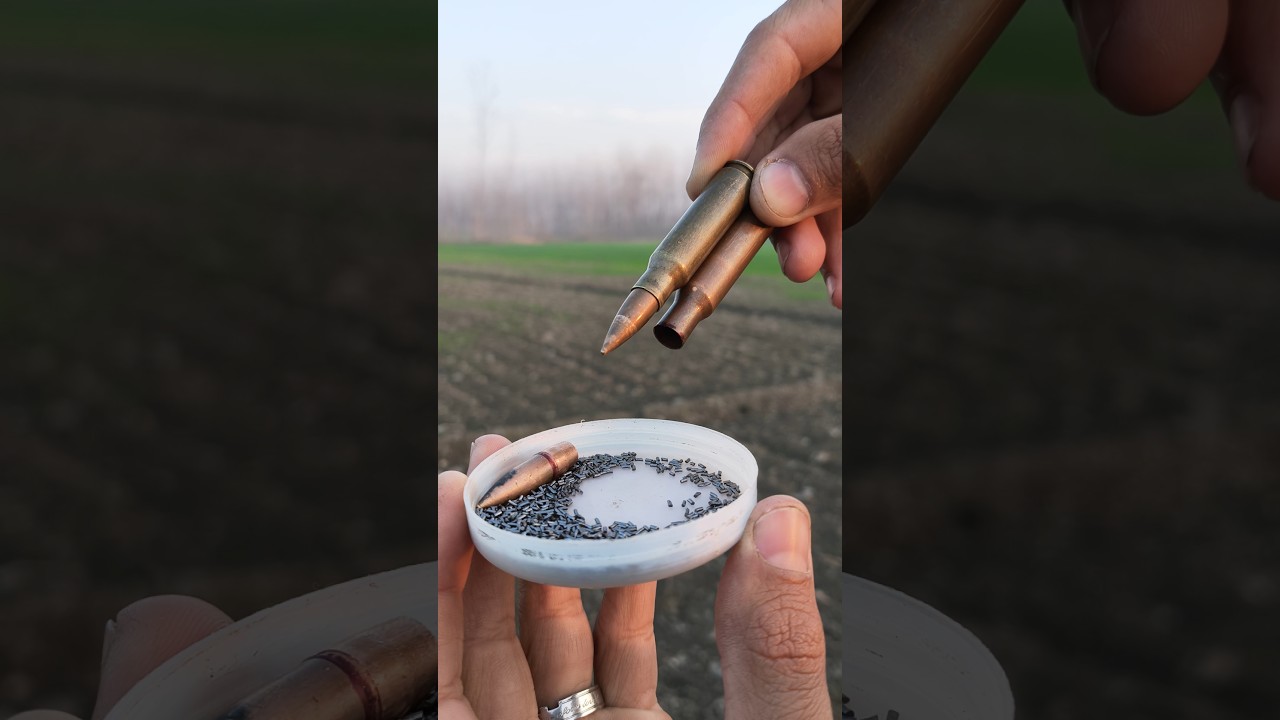 7.62x54 Ammo | Close-Up Look