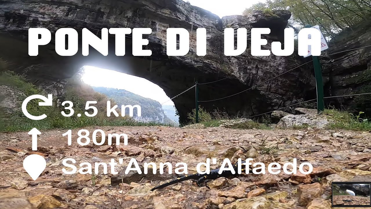 Ponte di Veja - Drone - Escursione autunnale nel bosco - Nature sound relaxing