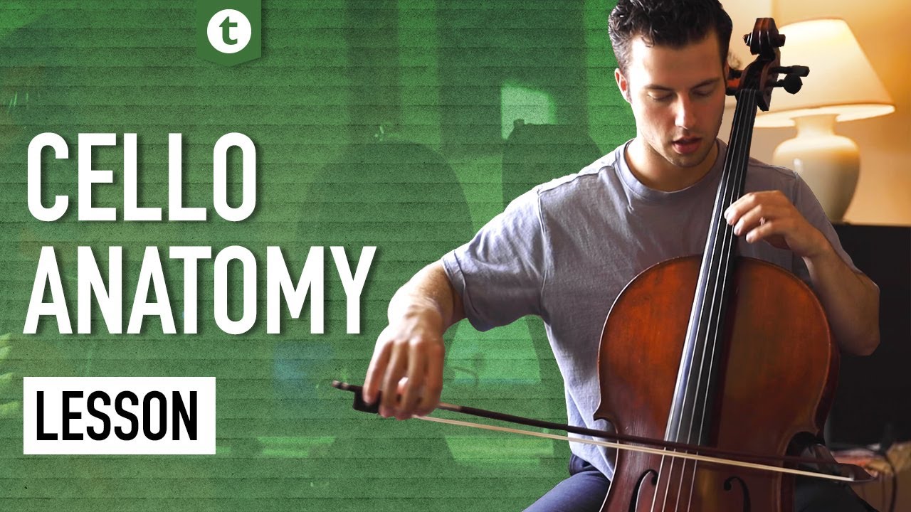 A Guide on the Cello and Bow | Cello Anatomy Lesson | Andrew Savoia | Thomann