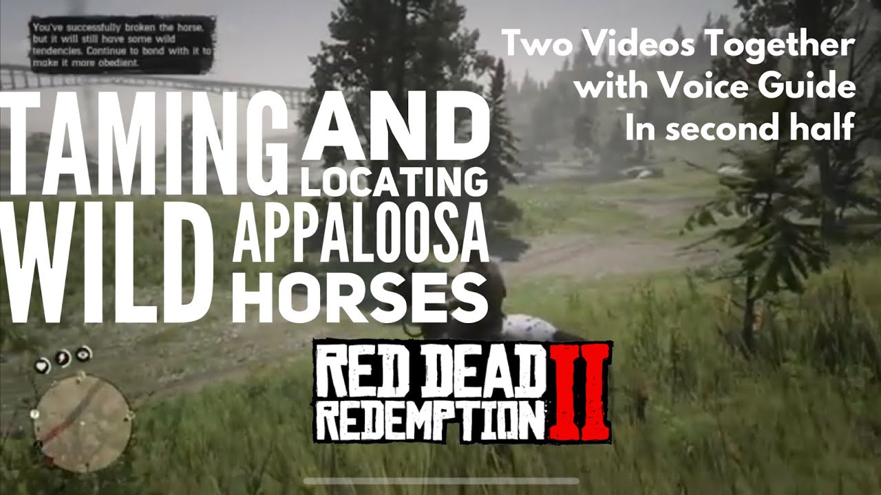 🗣 Red Dead Redemption 2: Locating and Taming Wild Appaloosa Horse