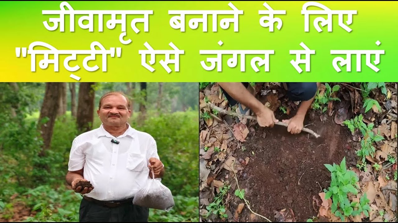 जीवामृत 