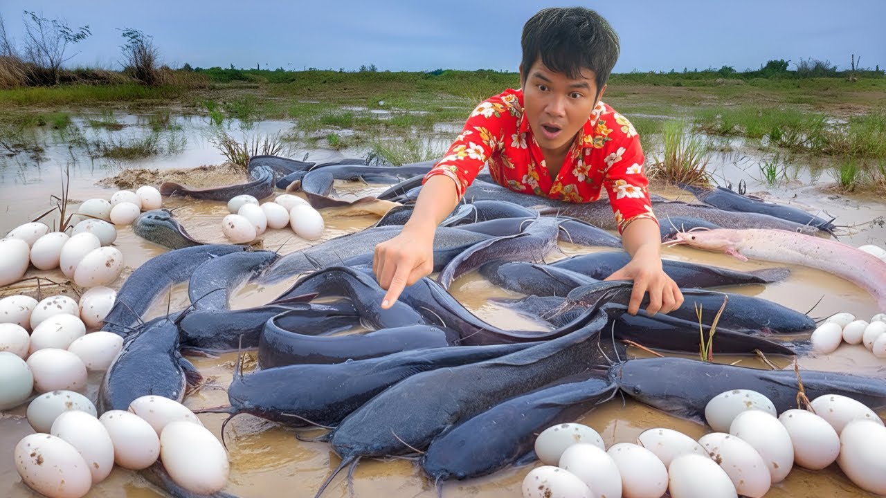 Full Video OMG The man caught a lot of fish in the pond in the rice fields​​ so funny