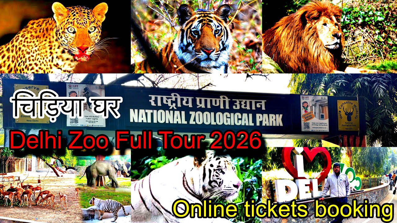 Delhi Zoo Vlog 2026 // भारत का सबसे बड़ा चिड़ियाघर // Online Tickets booking // Zoo In Delhi 