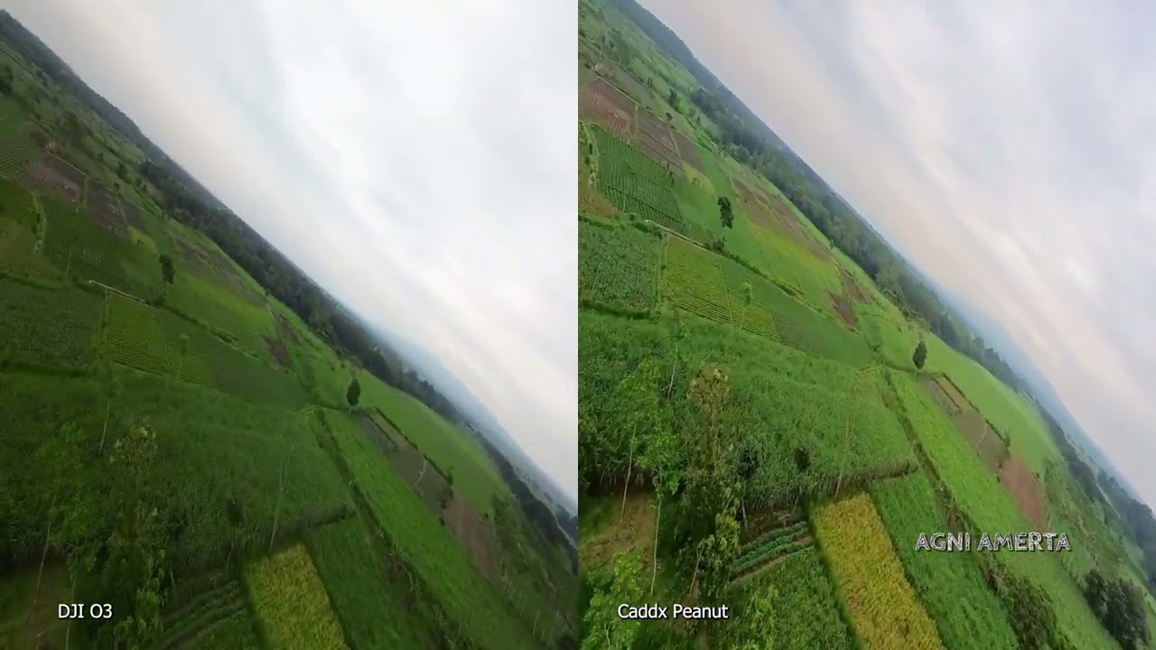 Compare Dji O3 vs Caddx Peanut - Fpv Drone Kediri