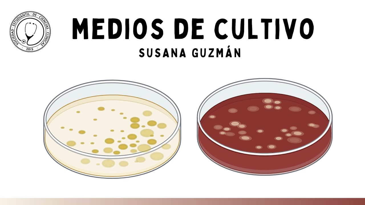 MEDIOS DE CULTIVO DE BACTERIAS | Microbiología