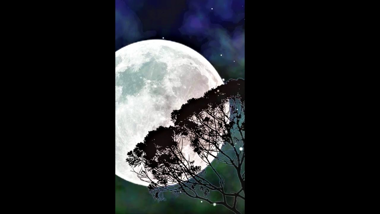 Relaxing Music - OM Ambient Chant Music - meditation music,sleep music,healing music, 