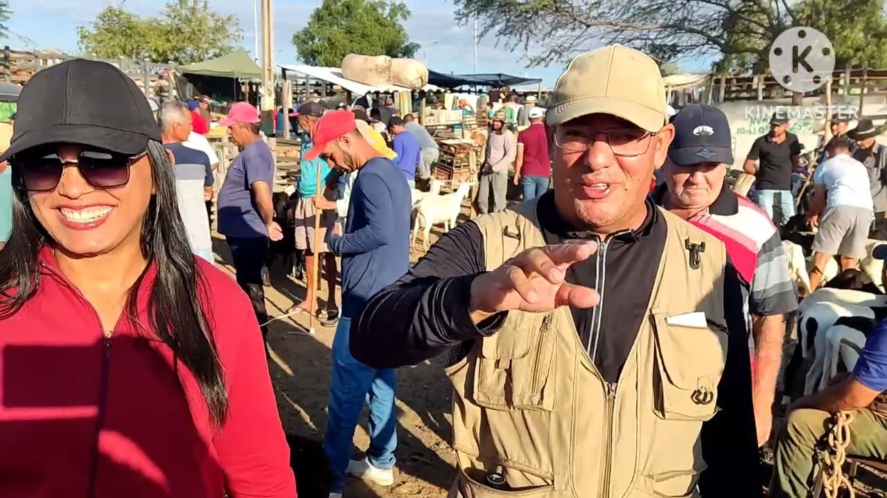 Feira de Caprinos Ovinos aves e Suínos de Tabira-PE 