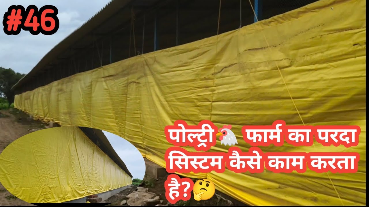 पोल्ट्री फार्म का पर्दा सिस्टम इंस्टोलेसन & पर्दा सिस्टम कैसे काम करता है फुल डिटेल विडियो #chirag