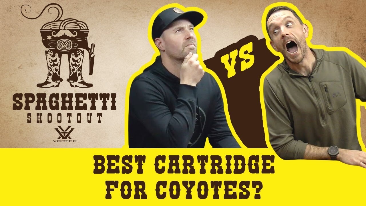 Best Cartridge for Coyotes | Spaghetti Shootout Ep. 31