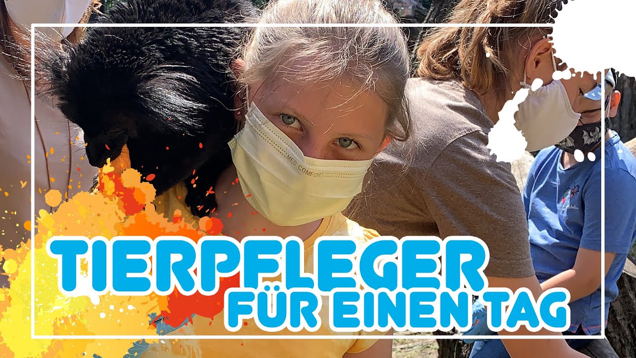 Tierpfleger f&uuml;r eine Tag 2020🦉 | Radio TEDDY