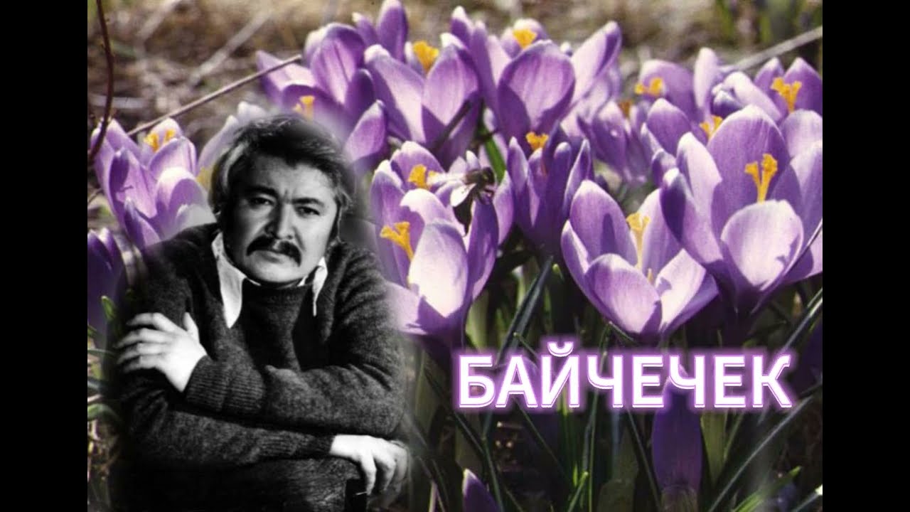 байчечек.... Мурза Гапаров
