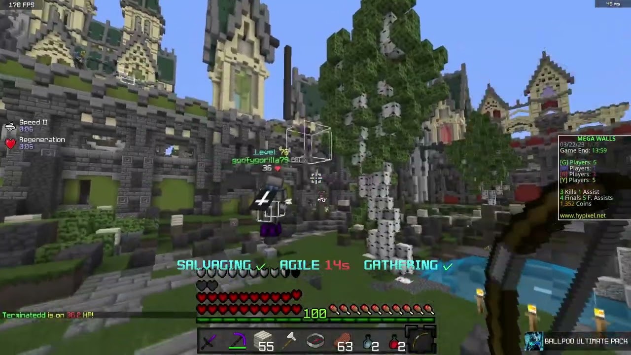Hard Carrying the Team With Skeleton | Mega Walls