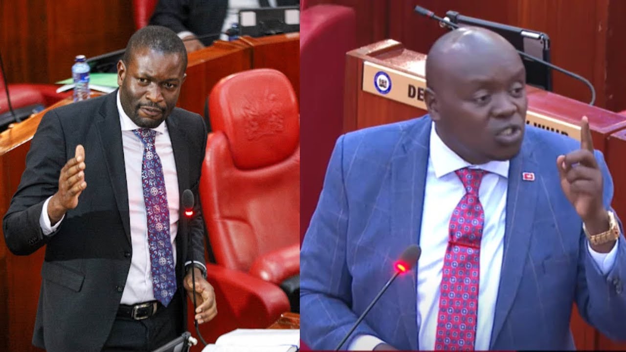 LIVE; FIREWORKS IN SENATE AS SENATORS DEBATE ON 10-POINT AGENDA BETWEEN UDA AND ODM