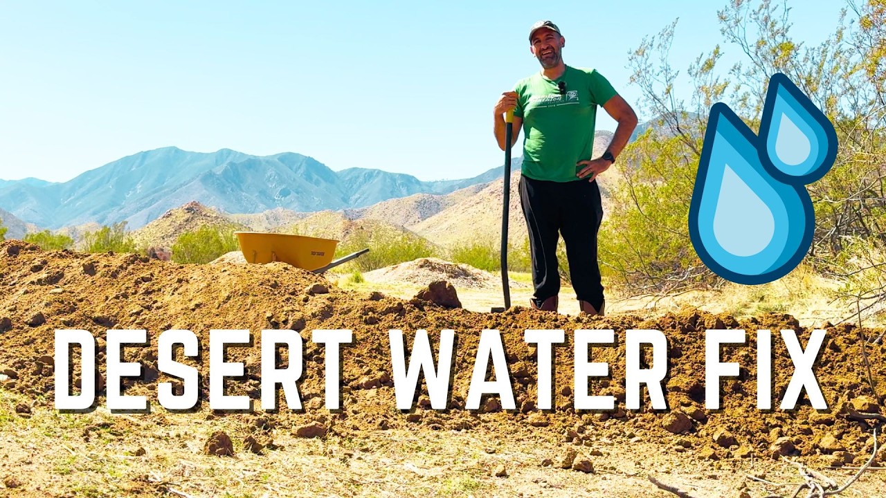 How We’re Turning the Desert Into an Orchard | Desert Homestead Water Project