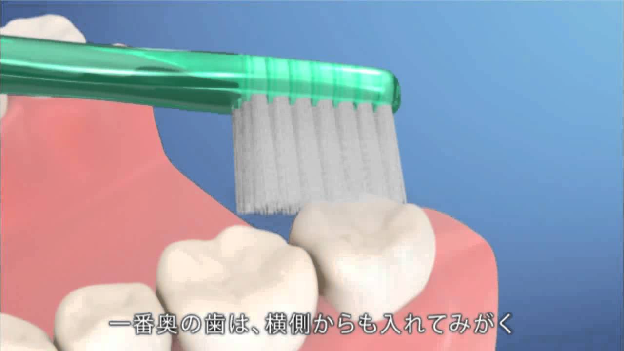 正しいハブラシの使い方 フルバージョン