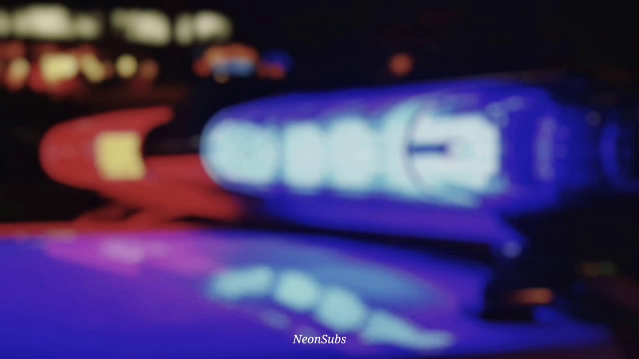 Red Hot Chili Peppers - Police Station (Sub Español)