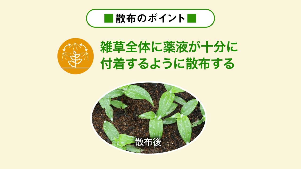 バスタの上手な散布方法 (新ボトル)