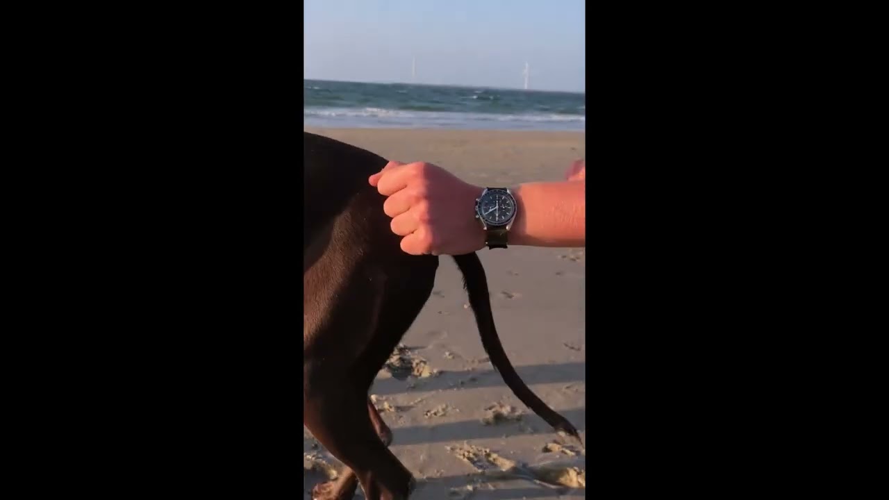 Truebuddies - How to use