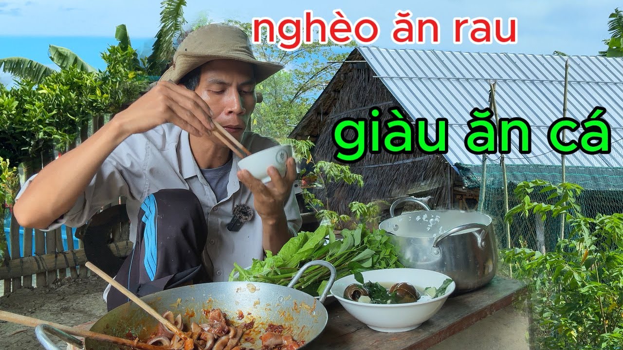 BAO\TỬ  HEO KHÌA NƯỚC DỪA, CANH MĂNG ỐC BƯU ĐEN DỌN LẠI KHU CHÒI THÁO MÀNG PHỦ VỤ CAM SÀNH MỚI