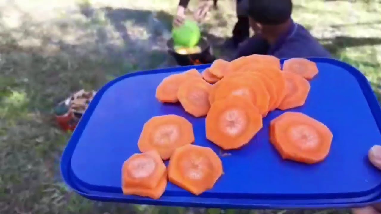 КОЗУ КАРЫН 2025. Достор менен дем алуу.