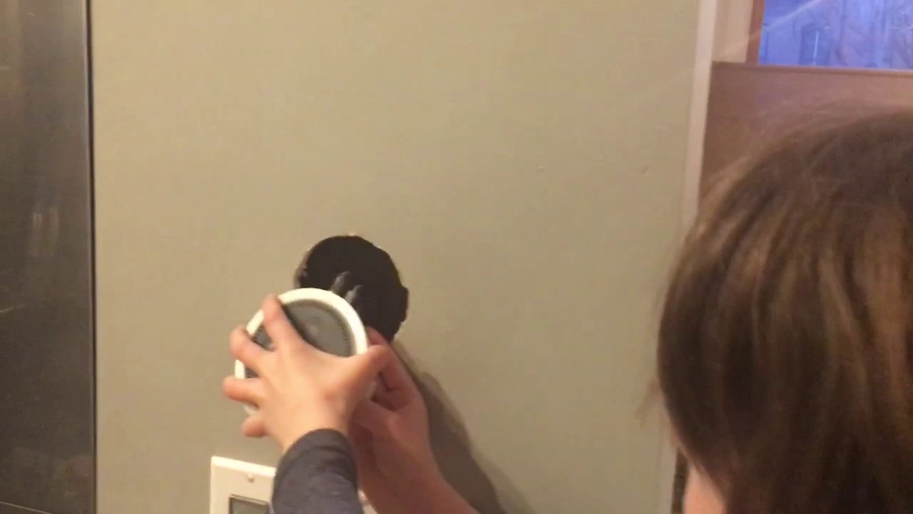 Echo Dot 2 Flush In-Wall Mount Installation