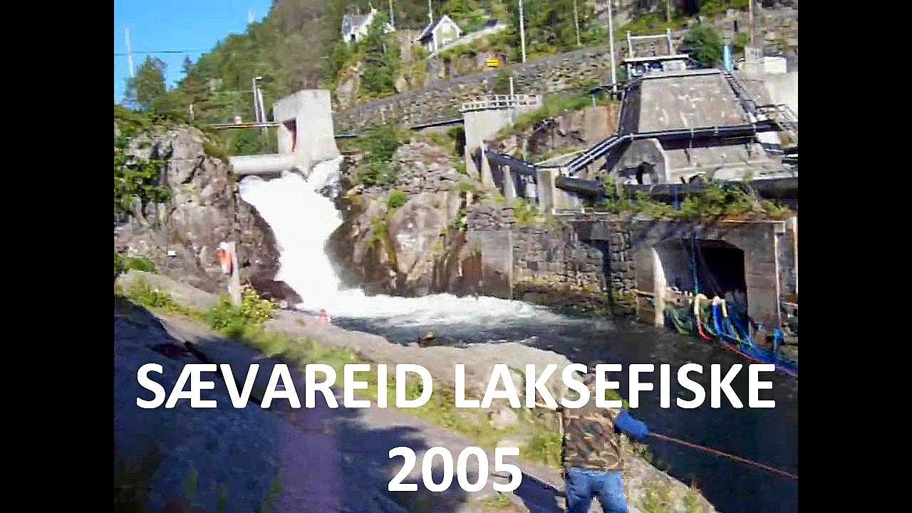 S&aelig;vareid Laksefiske 2005