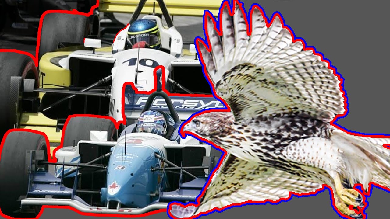 OH DEER! The Story of the Worst Collision in Indycar
