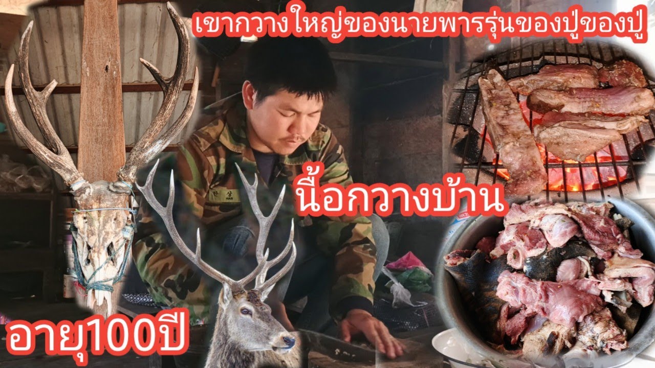 นายพรานในตำนานเคียหมานบัก7สอกมาก่อน..โอโหสุดยอดจิ่งๆ #cooking #laofood #เมนูเด็ด 