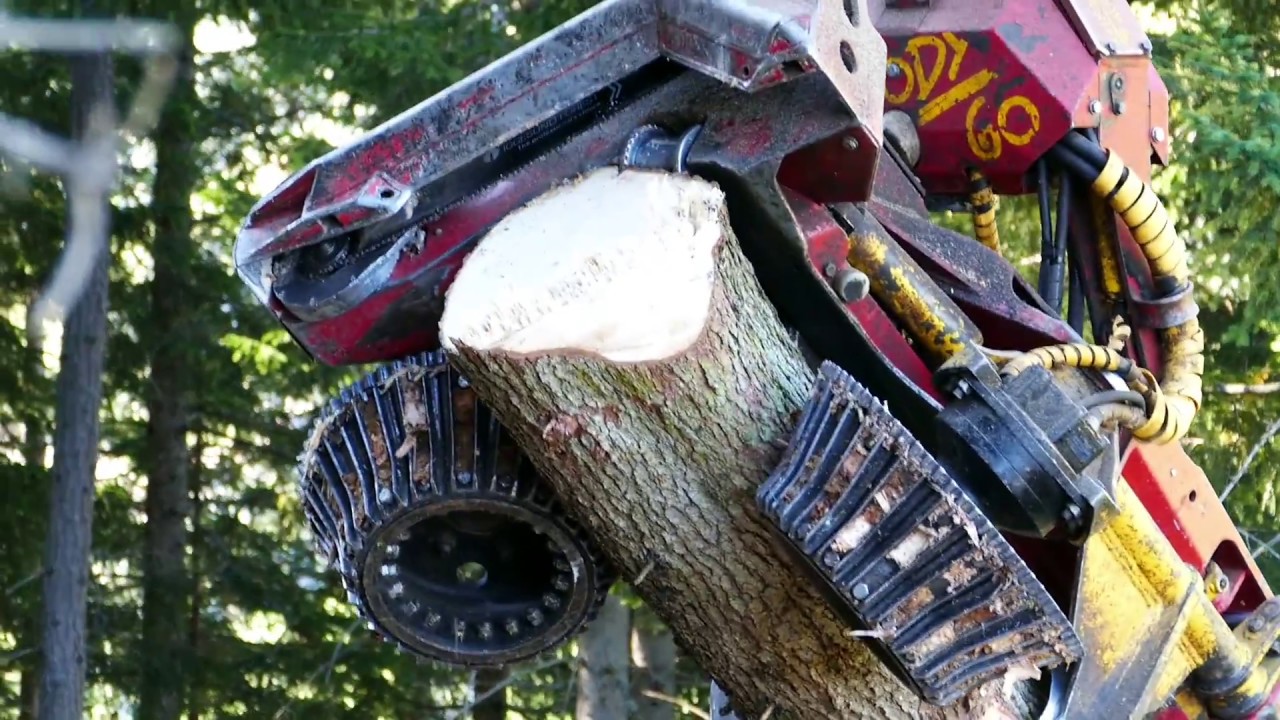 🌳 🌳 Forestry Lumber 🌳 🌳 Mounty 4000 🏔 Liftliner and Woody 60🚛
