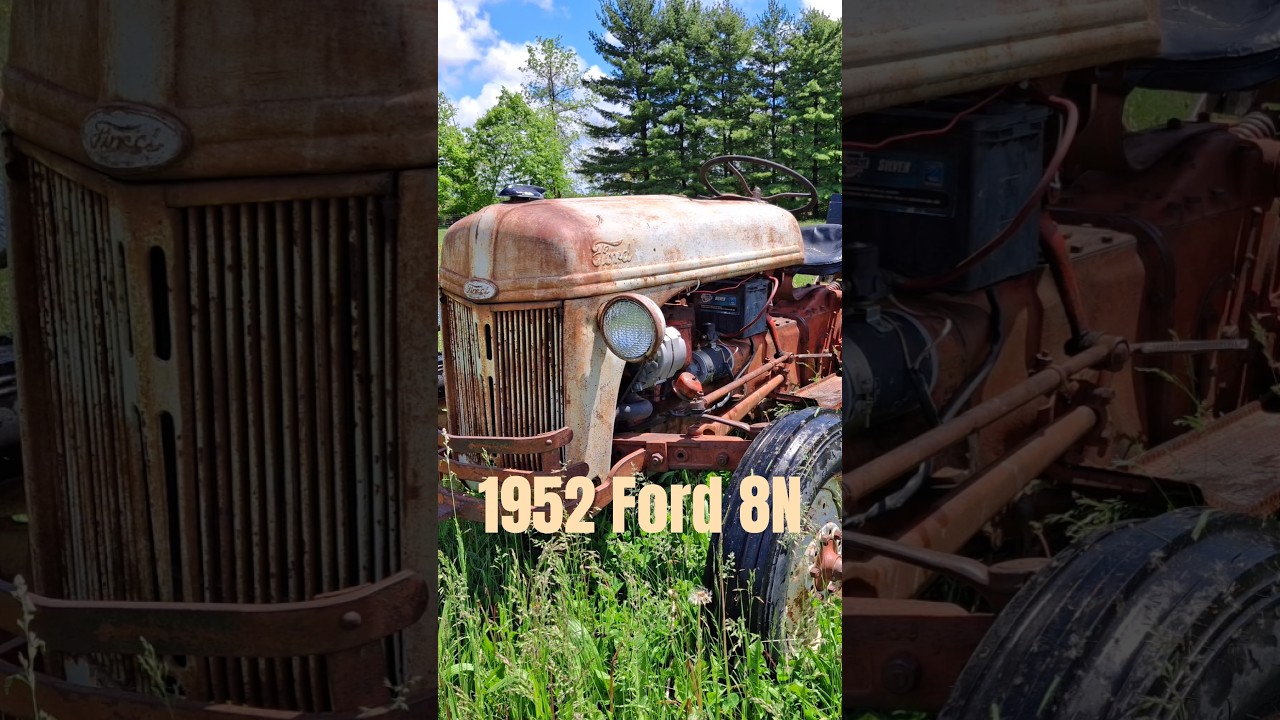 I bought a 1952 Ford 8n Tractor to brush hog my field #tractor #shorts #outdoors #farming #homestead