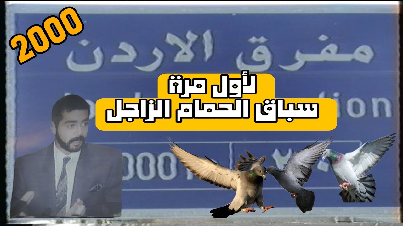 لأول مرة | سباق الحمام الزاجل العراق |عام 2000 #زاجل #زاجل_سباق #طيور  #حمام_زاجل_سباق #تربية_الطيور