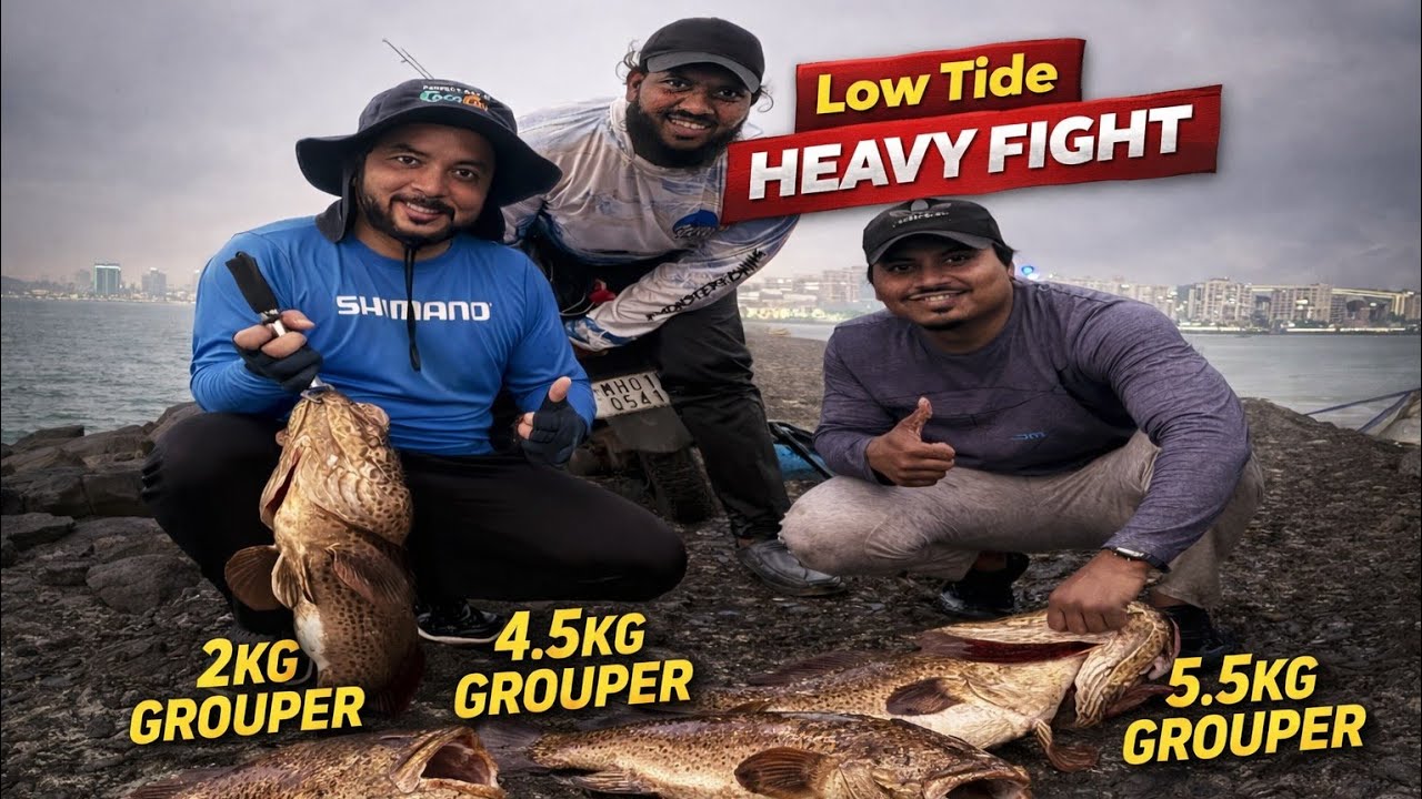 High Tide, Heavy Fight! 💥 Monster Grouper Attack | Deep Rock Fishing | Rock Fishing Gone CRAZY! 😱