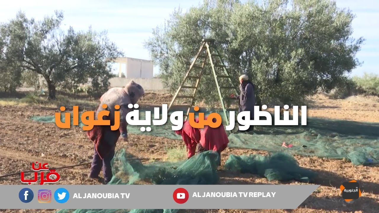 عن قرب : الناظور من ولاية زغوان